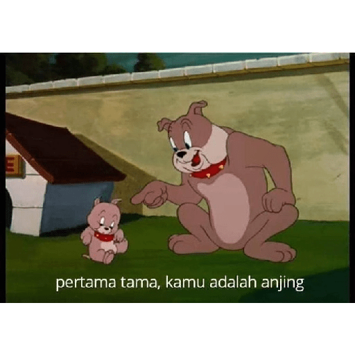 Ok banh 25