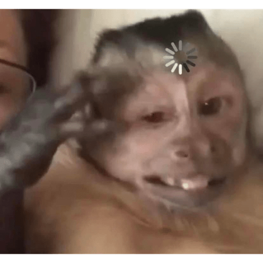 Macacos me mordam 8