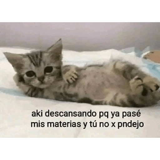 Waos 😯 29