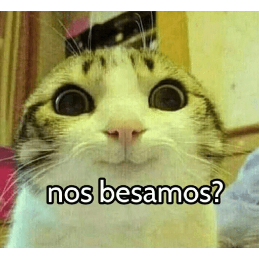 Graciosos🤣 26