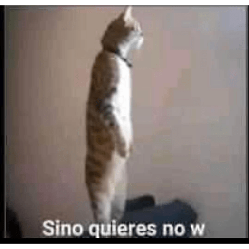 Waos 😯 30