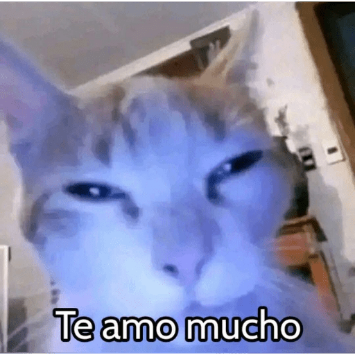 Graciosos🤣 22
