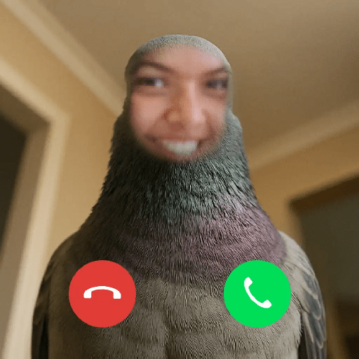 Xdxdxd 3