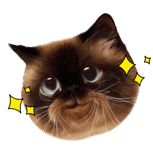 Gatitos 9