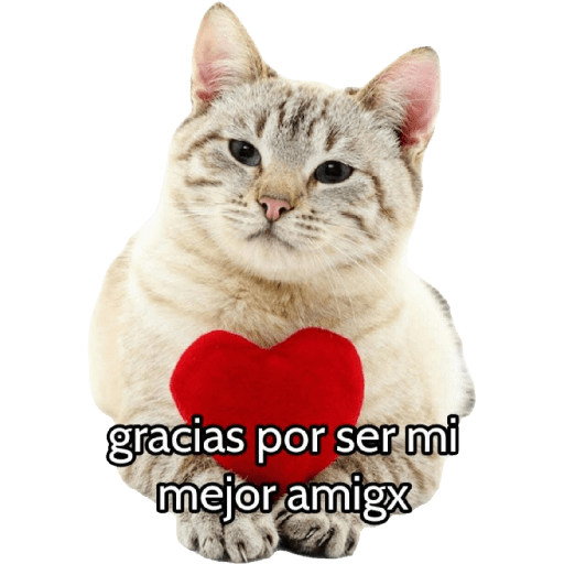 Graciosos🤣 29