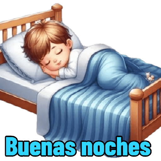 B noches bebo 24