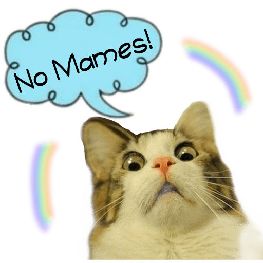 Gatitos 15