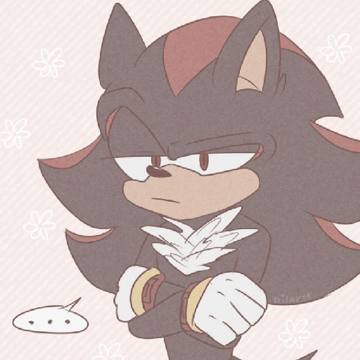 Shadow the hedgehog 3