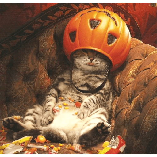 Halloween 🎃 8