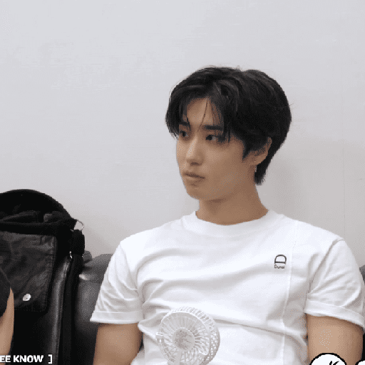 STRAY KIDS LOVE STAY #1 17
