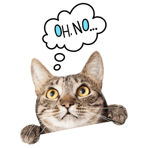 Gatitos 2