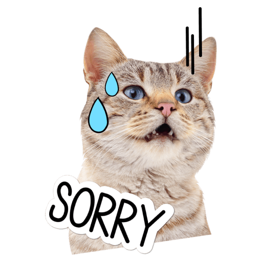 Gatitos 10