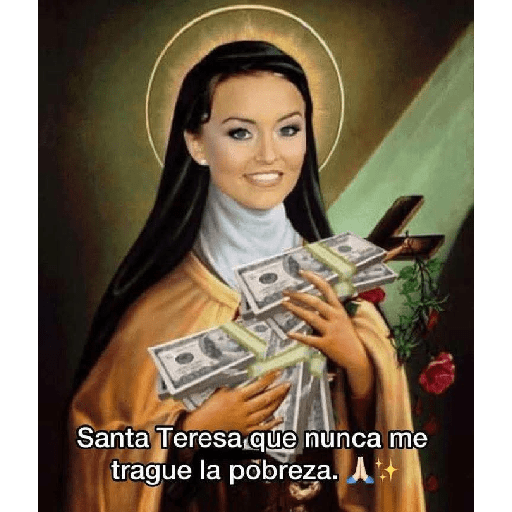 Miau miau  17