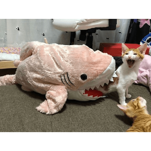 Gatti tristi e cute 12