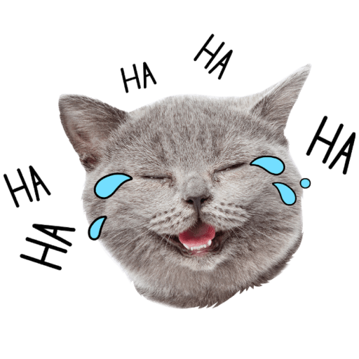 Gatitos 1
