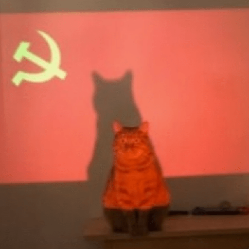 Animais 12