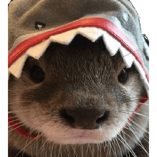 Animais 3