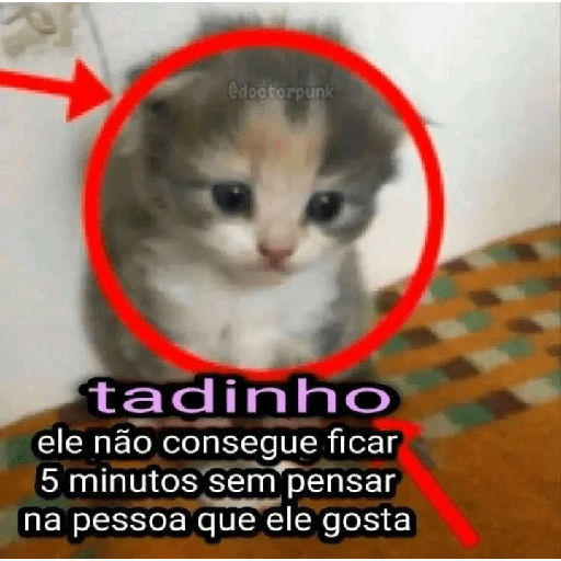 Para o meu amigo da lancha  10