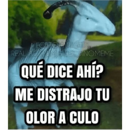 Miau miau  25