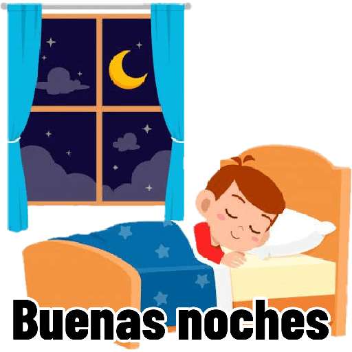 B noches bebo 21