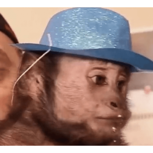 Macacos me mordam 7