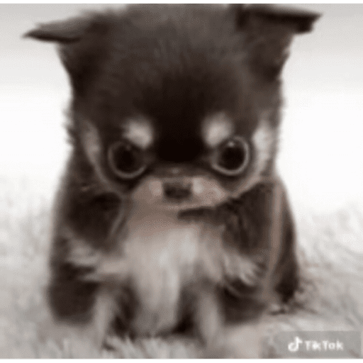 Hello 4