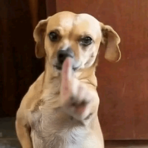 Animais 8