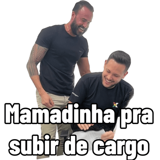 Minhas figurinhas 1