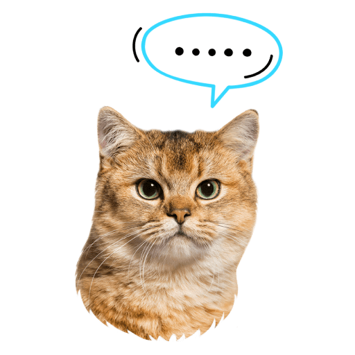 Gatitos 11