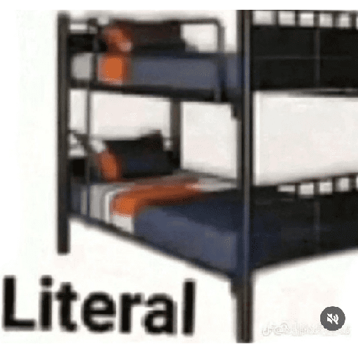 Miau miau  29