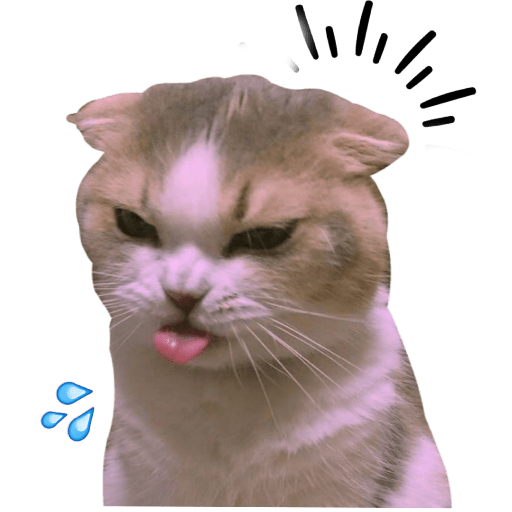 Gatitos 7