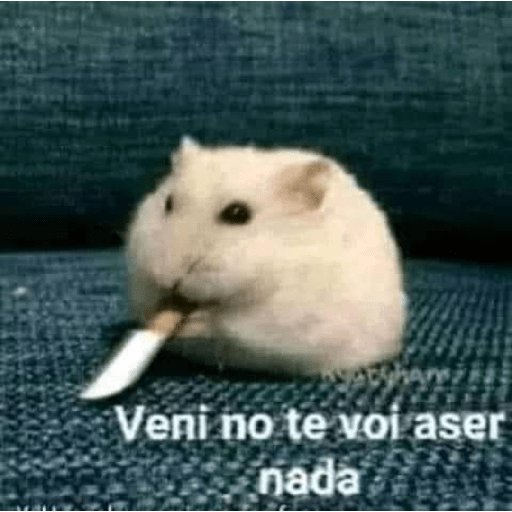 Es por tu bien 25