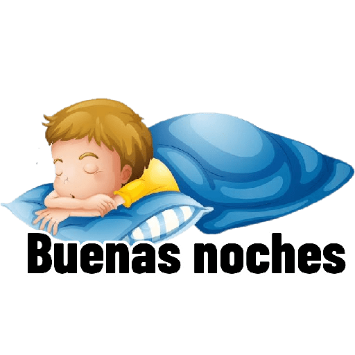 B noches bebo 27