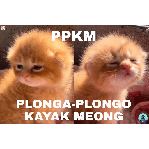 Ok banh 3