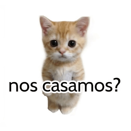 Graciosos🤣 23