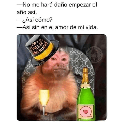 Memes de ano novo  8