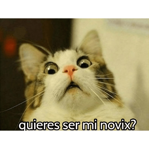 Graciosos🤣 28