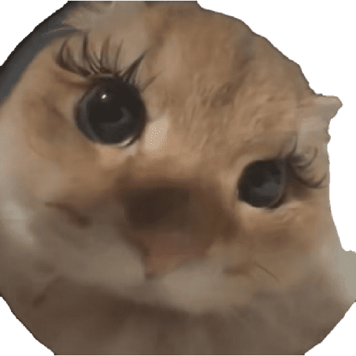 Memes 1.0 4