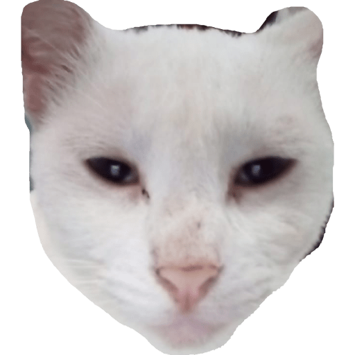 Abogado 4
