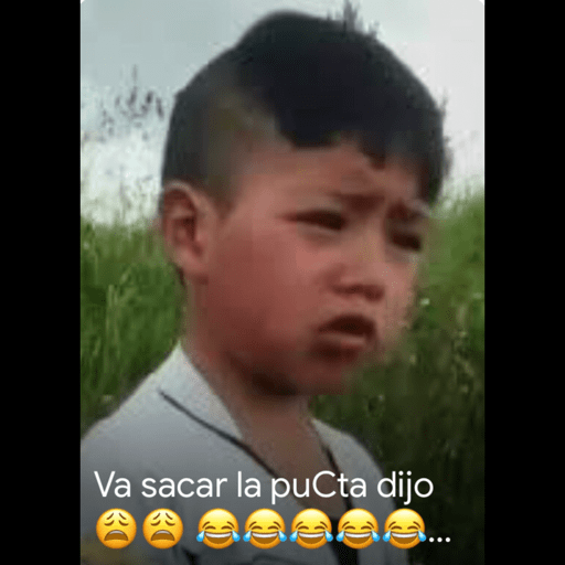 Amigos 4 6