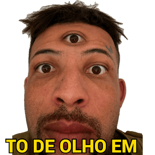 Macaco 27