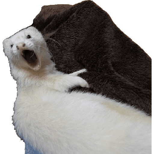 Animais 2