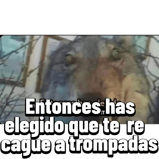 Graciosos🤣 1
