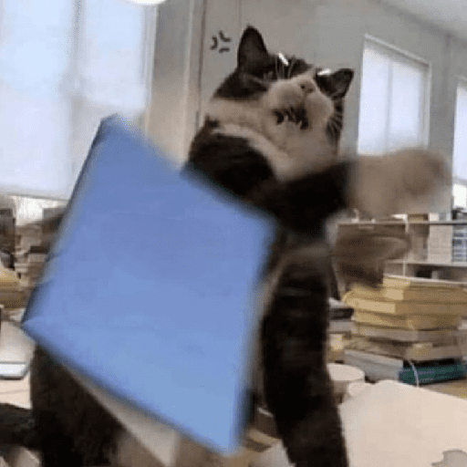 Funny Cats & More  7