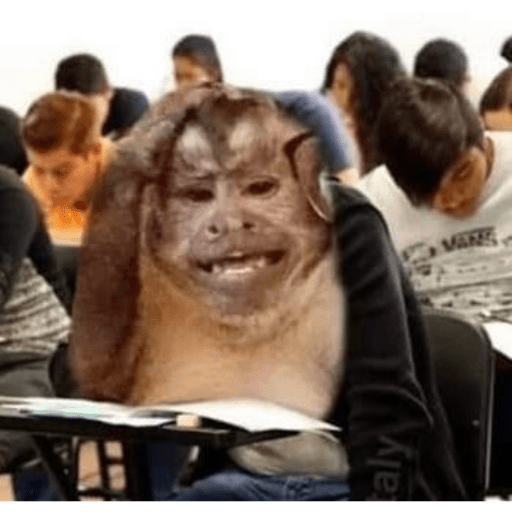 Macacos me mordam 16