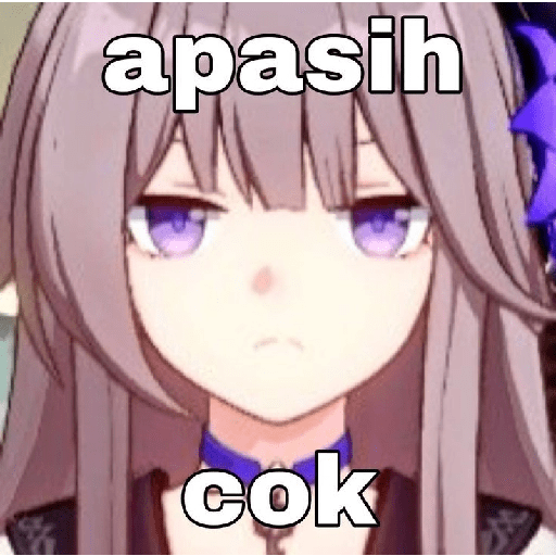 Meme honkai star rail 27