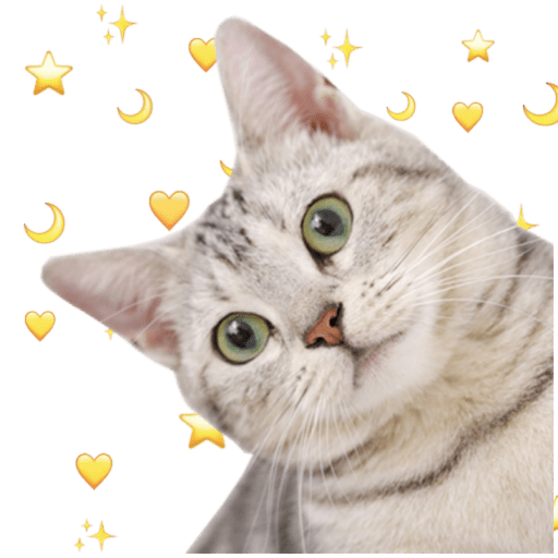 Gatitos 3