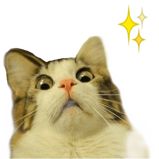 Gatitos 4