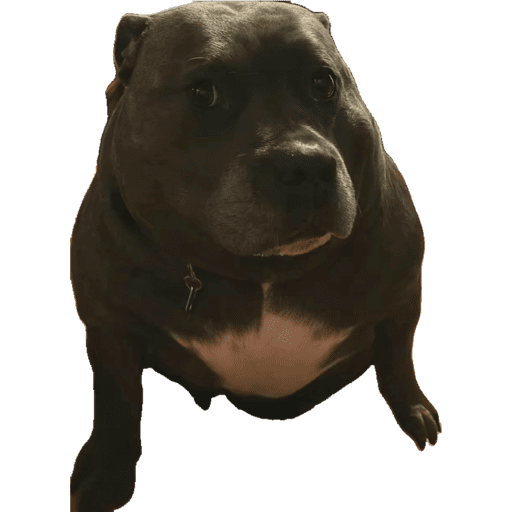 Sigma pack 6
