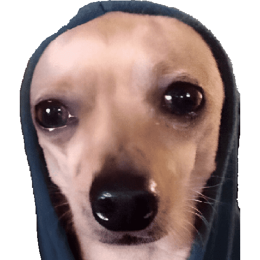 Modo moletom